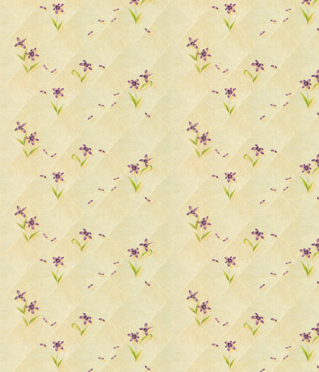 ZN001-1 (FILEminimizer)